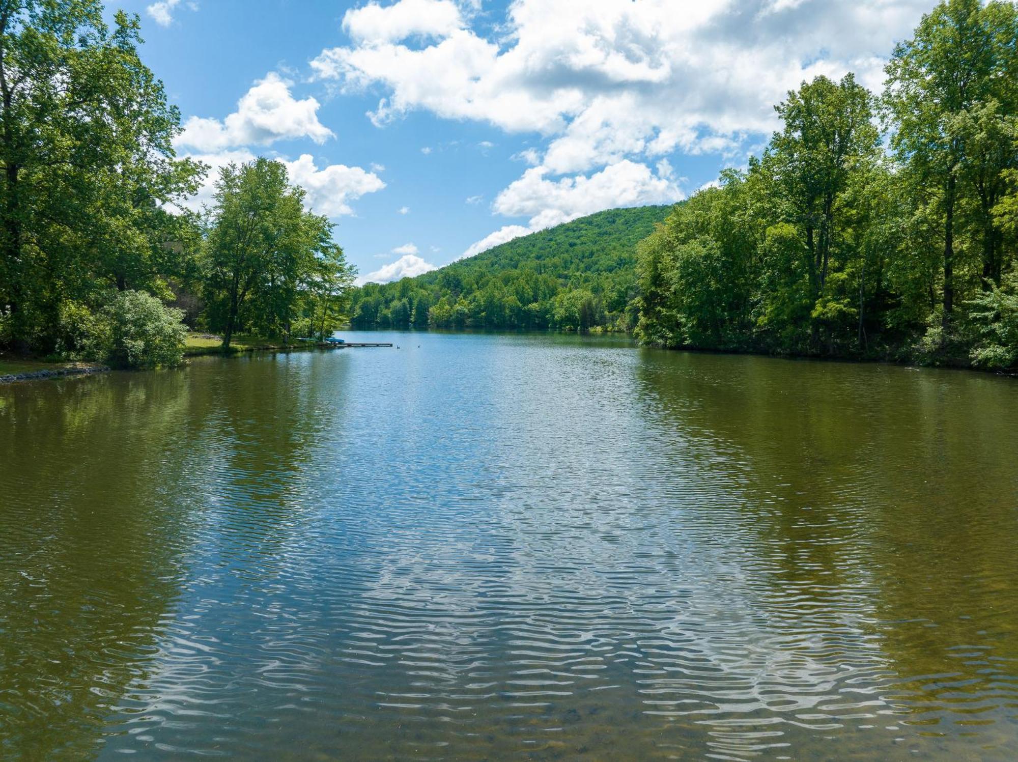 Waterfront Cabin 20 Mins To National Park & Massanutten! Stanardsville エクステリア 写真